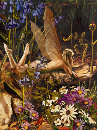 Illustration for article titled Girl Faeries